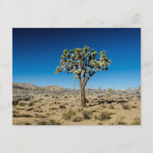 Tarjeta postal de viaje de árbol colorido elegante
