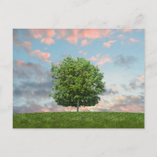 Tarjeta postal de viaje de árbol colorido elegante