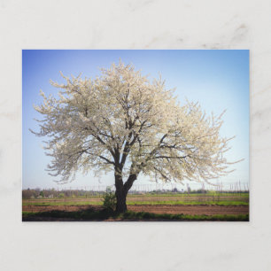 Tarjeta postal de viaje de árbol colorido elegante