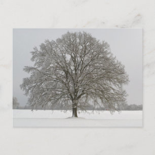 Tarjeta postal de viaje de árbol colorido elegante