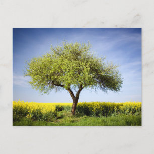 Tarjeta postal de viaje de árbol colorido elegante