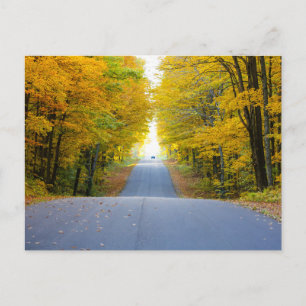 Tarjeta postal de viaje de árbol colorido elegante