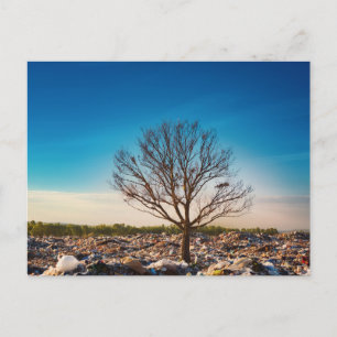 Tarjeta postal de viaje de árbol colorido elegante