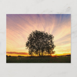 Tarjeta postal de viaje de árbol colorido elegante