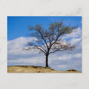 Tarjeta postal de viaje de árbol colorido elegante