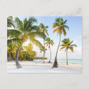 Tarjeta postal de viaje de árbol colorido elegante