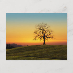Tarjeta postal de viaje de árbol colorido elegante