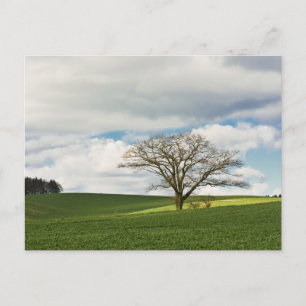 Tarjeta postal de viaje de árbol colorido elegante