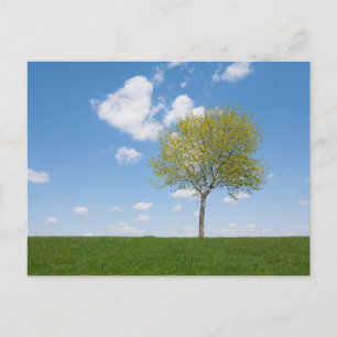 Tarjeta postal de viaje de árbol colorido elegante
