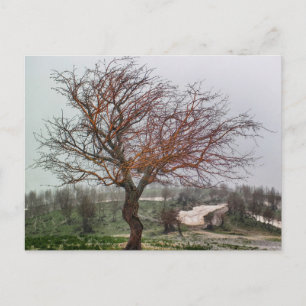 Tarjeta postal de viaje de árbol colorido elegante