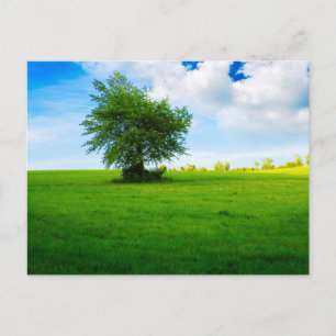 Tarjeta postal de viaje de árbol colorido elegante