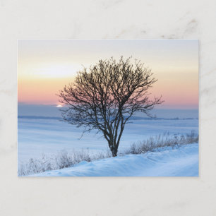 Tarjeta postal de viaje de árbol colorido elegante