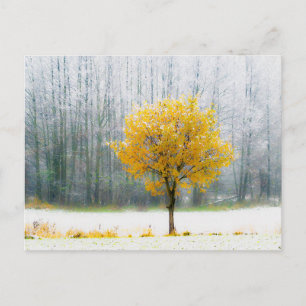 Tarjeta postal de viaje de árbol colorido elegante
