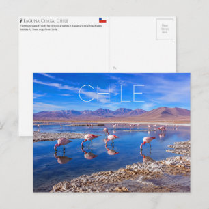 Tarjeta postal de viaje de Laguna Chaxa, Atacama,