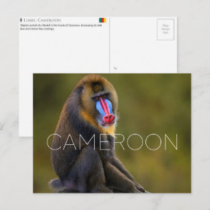 Tarjeta postal de viaje de Limbe Wildlife, Camerún
