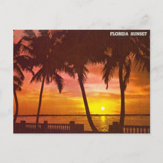 Tarjeta postal de viaje de puesta de sol de Florid (Anverso)