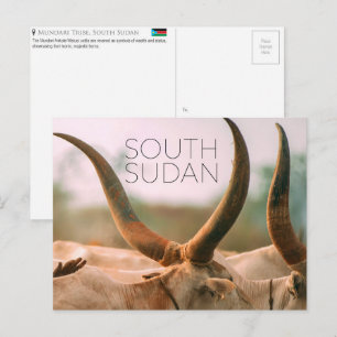 Tarjeta postal de viaje del ganado Mundari, Sudán 