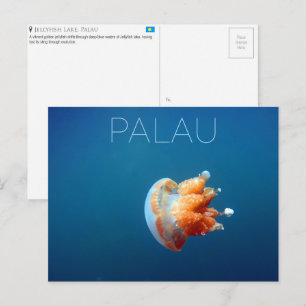 Tarjeta postal de viaje del Lago de Medusas, Palao