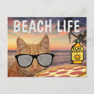 TARJETA POSTAL DE VIDA DE LA PLAYA DE CAT FUNNY