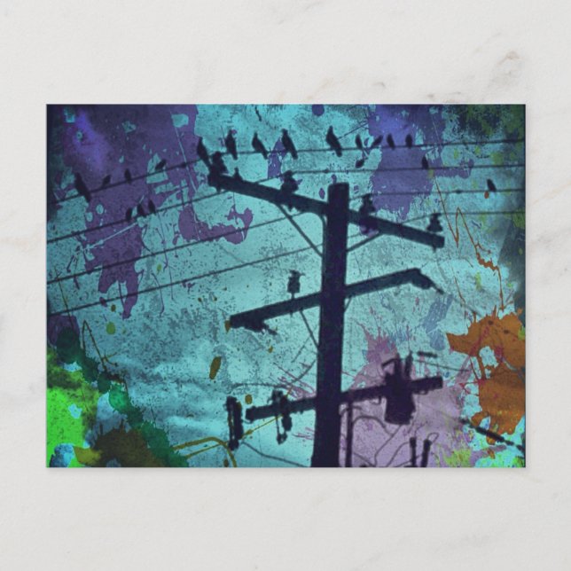 Tarjeta postal de vida de pájaro urbano (Anverso)