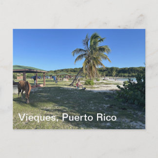 Tarjeta postal de Vieques, Puerto Rico