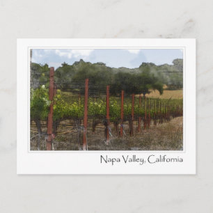 Tarjeta postal de viñedo de Napa Valley California