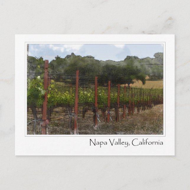 Tarjeta postal de viñedo de Napa Valley California (Anverso)