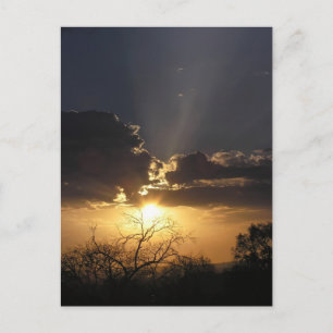 Tarjeta postal de vistas de arte vivo