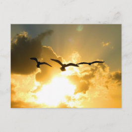 TARJETA POSTAL DE VUELO SOLAR