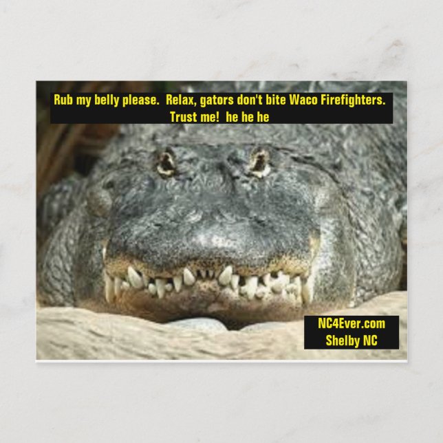 Tarjeta postal de Waco Firefighter (Anverso)