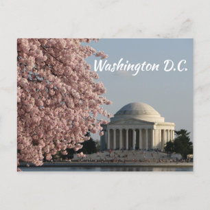 Tarjeta postal de Washington DC en primavera