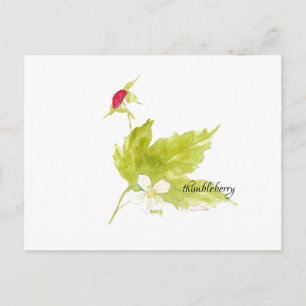 tarjeta postal de watercolor thimbleberry