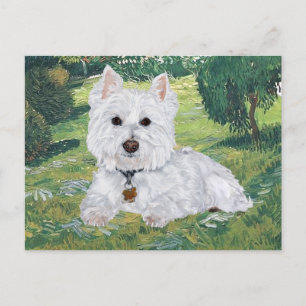 Tarjeta postal de Westie