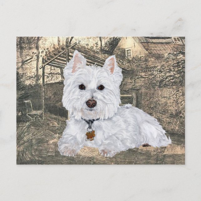 Tarjeta postal de Westie (Anverso)