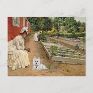 Tarjeta postal de Westie