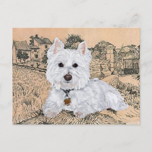 Tarjeta postal de Westie (Anverso)