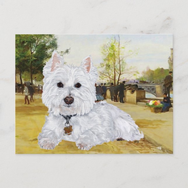 Tarjeta postal de Westie (Anverso)