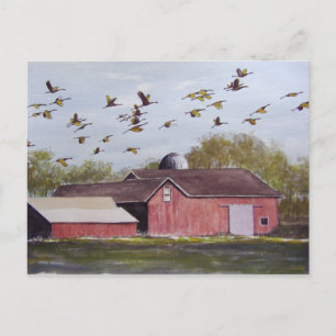 Tarjeta postal de Wisconsin Sand Cranes
