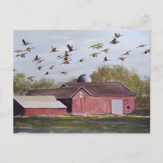 Tarjeta postal de Wisconsin Sand Cranes (Anverso)