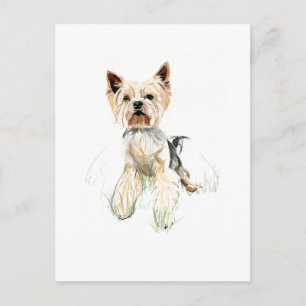 Tarjeta Postal de Yorkie – Yorkshire Terrier, Dueñ