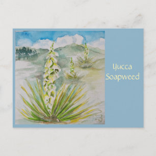 Tarjeta postal de Yucca Soapweed