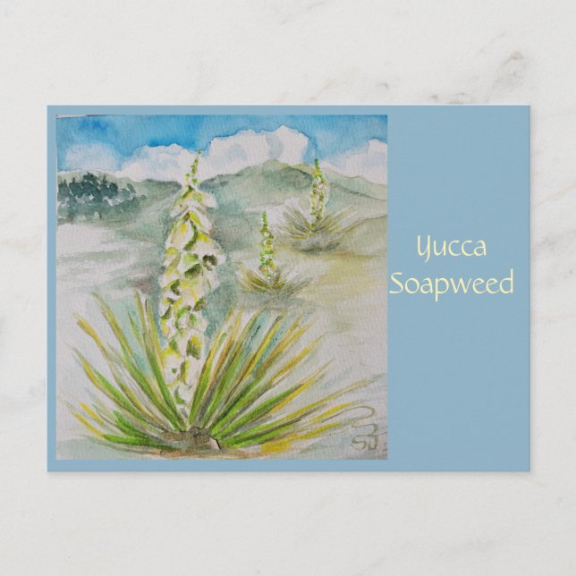 Tarjeta postal de Yucca Soapweed (Anverso)