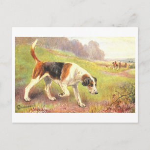 Tarjeta Postal de Zorros Cazadores Antiguos