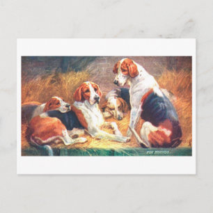 Tarjeta Postal de Zorros Cazadores Antiguos