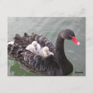 Tarjeta postal del amor de madres