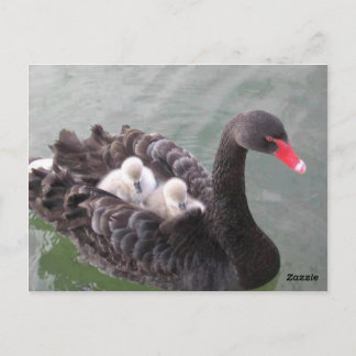 Tarjeta postal del amor de madres