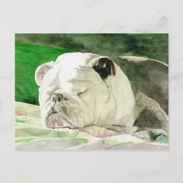 Tarjeta postal del bulldog durmiente (Anverso)