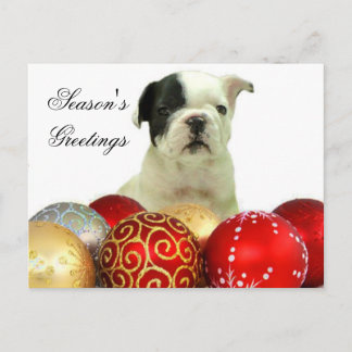 Tarjeta postal del Bulldog francés de los saludos