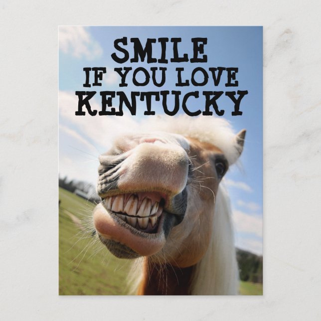 Tarjeta postal del CABALLO DE KENTUCKY (Anverso)