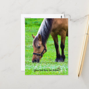 Tarjeta postal del caballo Fjord noruego